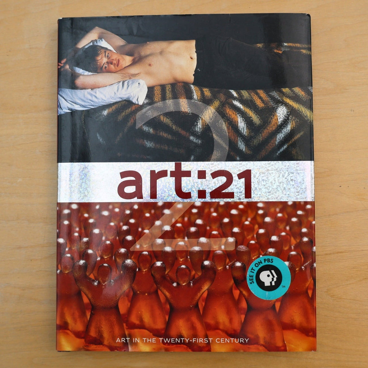 Companion Guide: Art in the Twenty-First Century (Season 2)