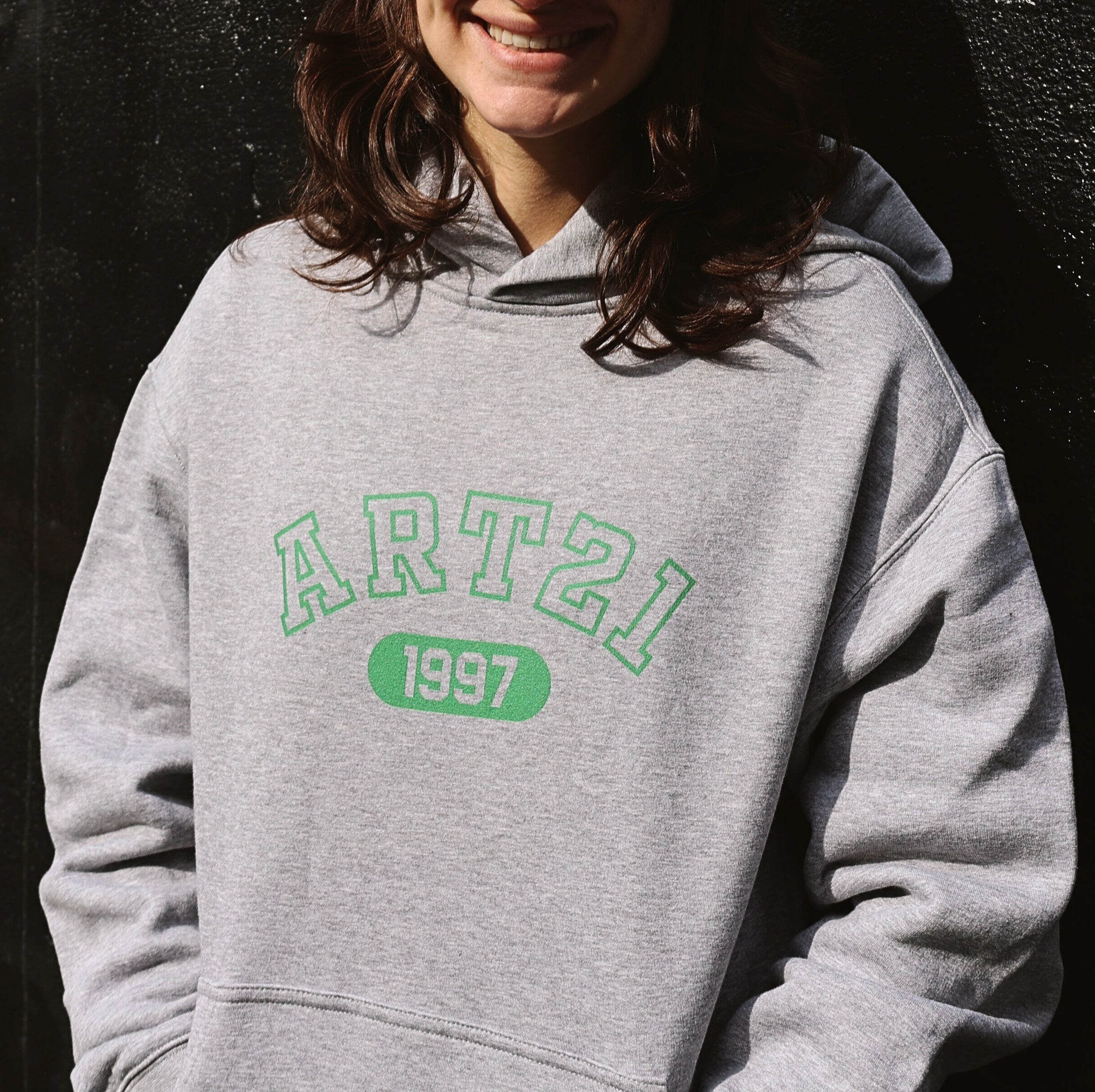 Art21 Collegiate Hoodie - Grey
