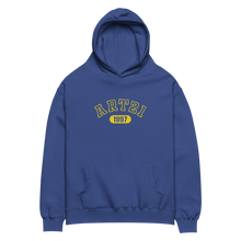 Load image into Gallery viewer, Art21 Collegiate Hoodie
